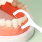 Portable Dental Floss Picks - Womans Fashion