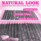 Wispy Lash Cluster Kit 9 - 16mm - Womans Fashion